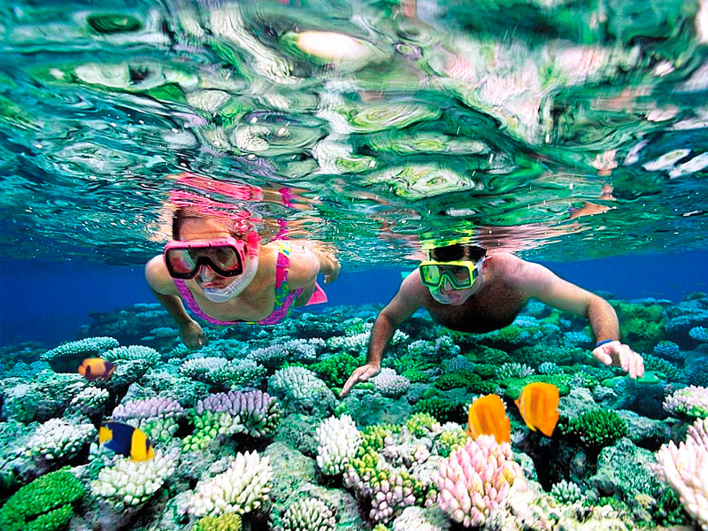 Snorkel-in-Cancun.jpg